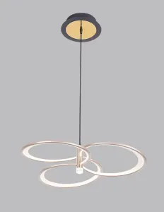 10003